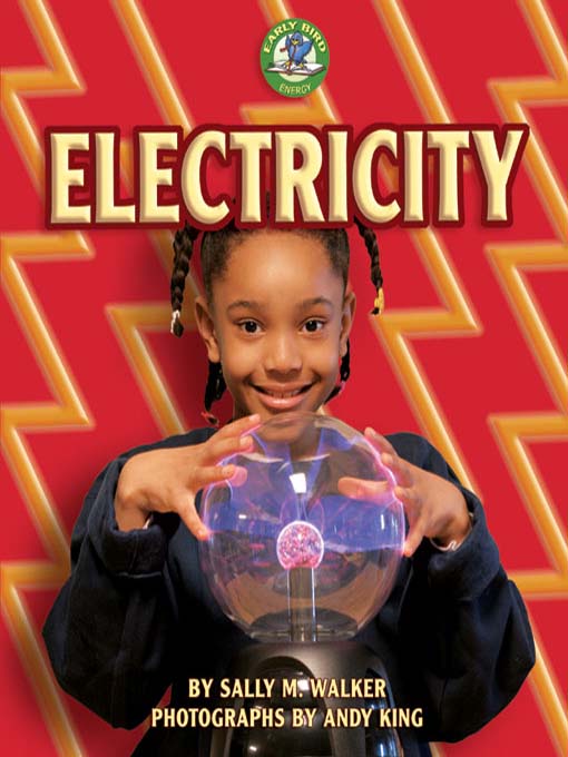 Title details for Electricity by Sally M. Walker - Available